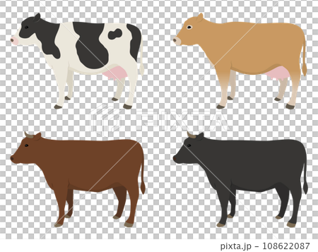 牛のイラストセット 牛のイラストセット 108622087