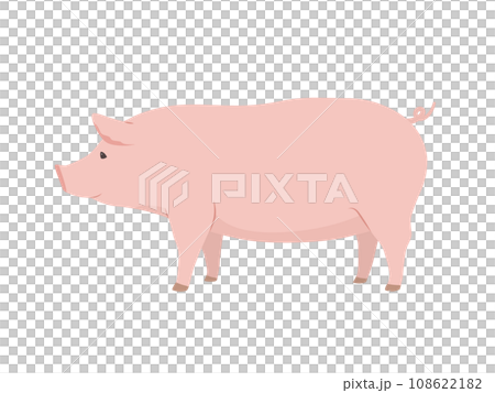 Pig illustrations Pig illustrations 108622182