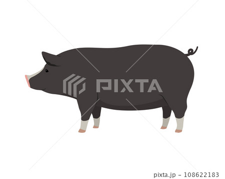 豚のイラスト（黒色） 108622183