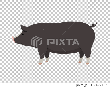 豚のイラスト（黒色） 108622183