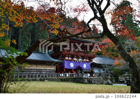 丹生都比賣神社の紅葉 108622244
