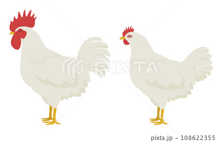 鶏のイラスト(雄鶏と雌鶏) 鶏のイラスト(雄鶏と雌鶏) 108622355