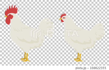 鶏のイラスト(雄鶏と雌鶏) 鶏のイラスト(雄鶏と雌鶏) 108622355
