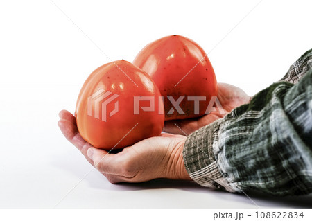 甲州百目（富士柿） 108622834