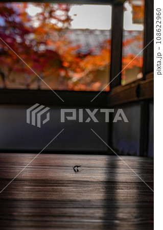 京都　槇尾山　西明寺 108622960