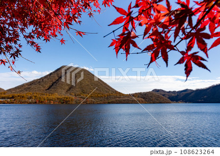 秋の榛名湖畔から見る榛名富士 108623264