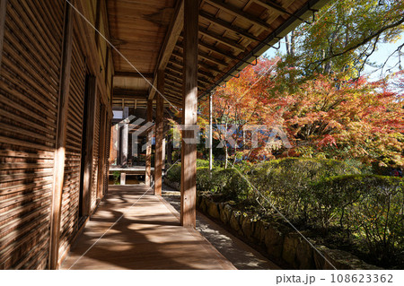 京都　槇尾山　西明寺 108623362