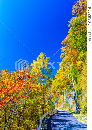 みずかき湖の秋 みずかき湖の秋 108623364
