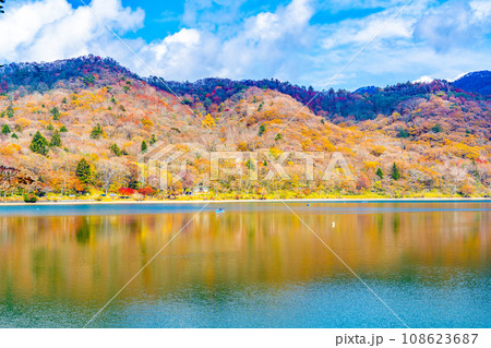 赤城山の秋 108623687