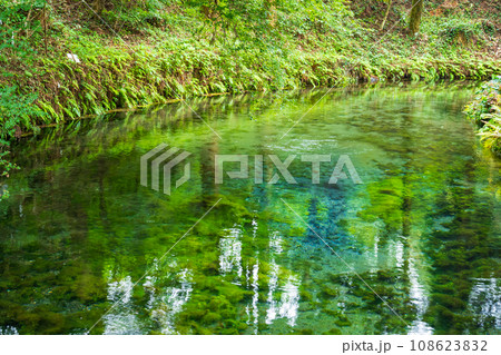 日本名水百選、熊本は阿蘇の白川水源 日本名水百選、熊本は阿蘇の白川水源 108623832