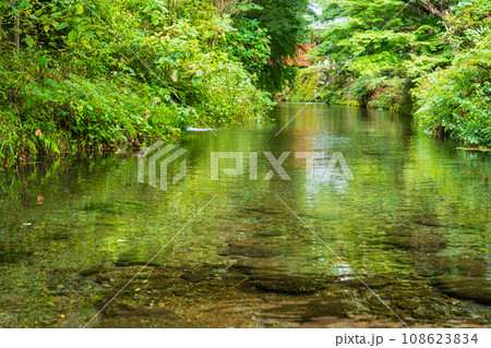 日本名水百選、熊本は阿蘇の白川水源 日本名水百選、熊本は阿蘇の白川水源 108623834