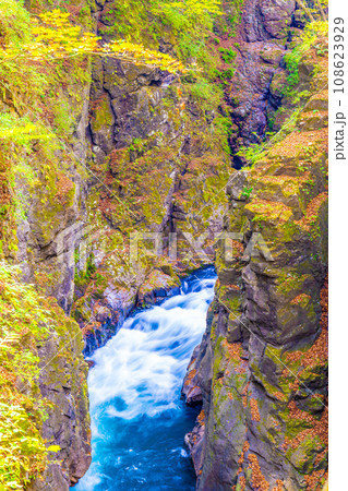 吾妻峡の秋 108623929
