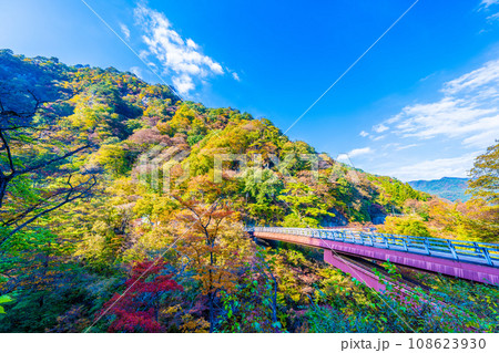 吾妻峡の秋 吾妻峡の秋 108623930