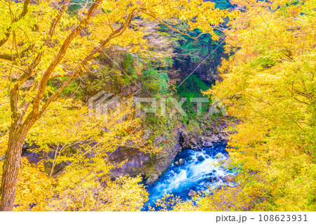 吾妻峡の秋 108623931