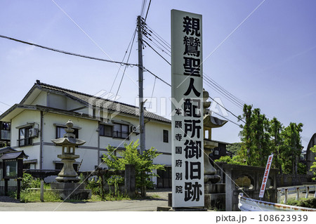 上越　本願寺国府別院　参道　新潟県上越市 108623939