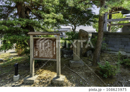 上越 本願寺国府別院 親鸞聖人袈裟懸けの松 新潟県上越市 上越 本願寺国府別院 親鸞聖人袈裟懸けの松 新潟県上越市 108623975