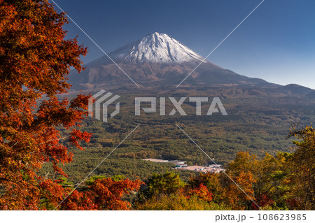 《山梨県》秋の富士山・紅葉台の眺望 108623985