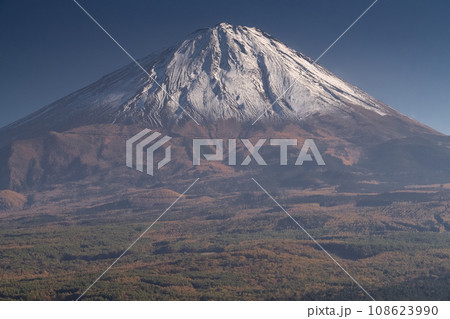 《山梨県》秋の富士山・紅葉台の眺望 108623990