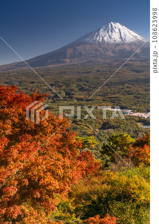《山梨県》秋の富士山・紅葉台の眺望 108623998