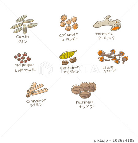 カレースパイスセット 108624188