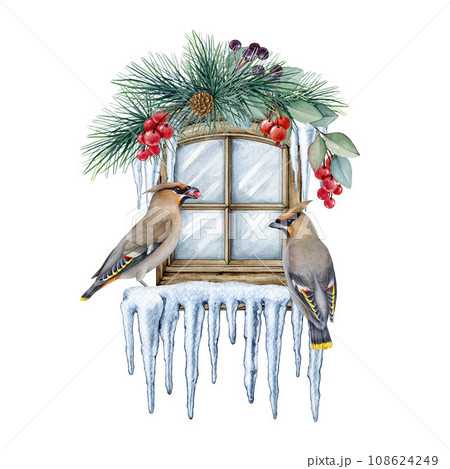 Winter time window with birds and floral decor. Watercolor illustration. Hand painted festive decoration. Winter season decoration with waxwing birds, pine branches, berries, snow, icicles Winter time window with birds and floral decor. Watercolor illustration. Hand painted festive decoration. Winter season decoration with waxwing birds, pine branches, berries, snow, icicles 108624249