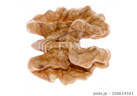 Unshelled nut 108624381