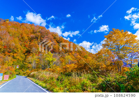 銀山平の秋 銀山平の秋 108624590