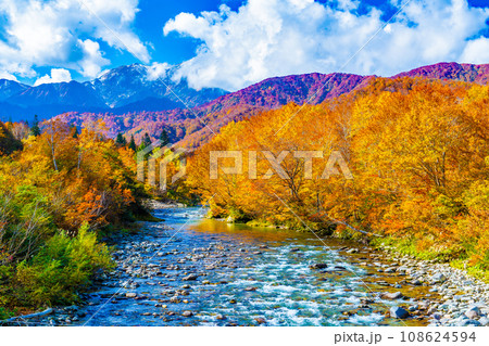 銀山平の秋 108624594