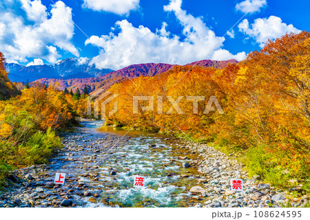 銀山平の秋 108624595