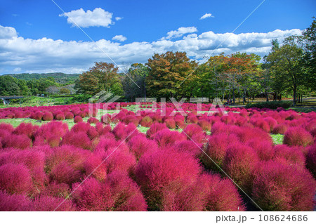 国営みちのく杜の湖畔公園 108624686