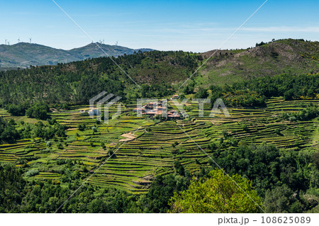 Viewpoit of Sistelo's terraces 108625089