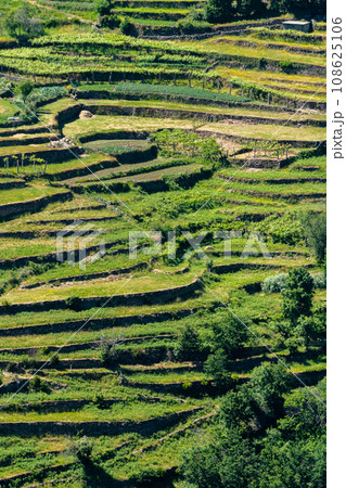 Viewpoit of Sistelo's terraces 108625106