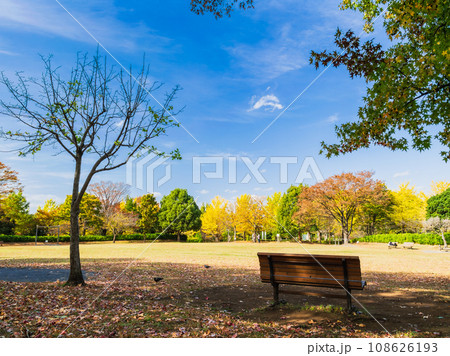 秋色の公園 郊外の住宅地 秋色の公園 郊外の住宅地 108626193