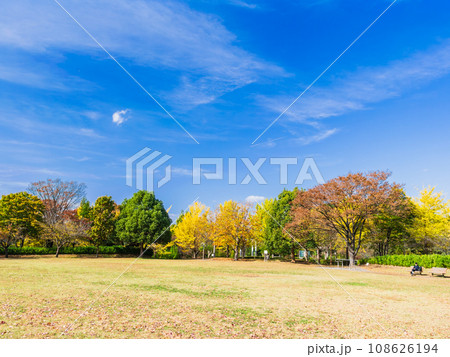 秋色の公園 郊外の住宅地 秋色の公園 郊外の住宅地 108626194