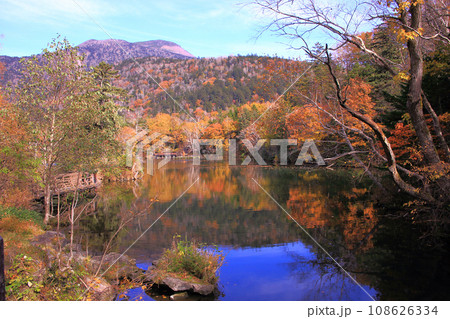 紅葉の阿寒湖と雄阿寒岳 紅葉の阿寒湖と雄阿寒岳 108626334