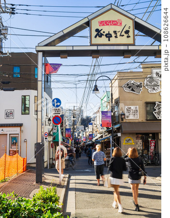 東京　下町の風情が残る谷中 108626644
