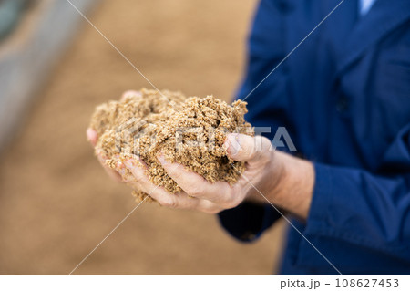 Hands of farmer holding brewer's spent grain 108627453