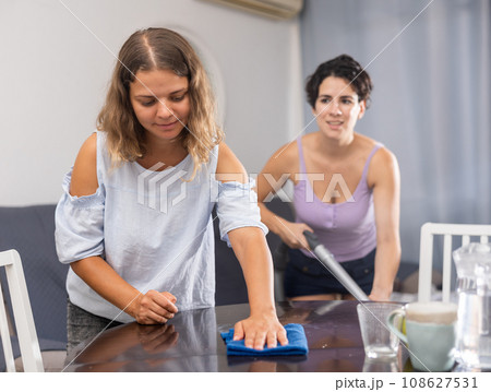 Two young women cleaning living room. Concept of homosexual family relationships 108627531