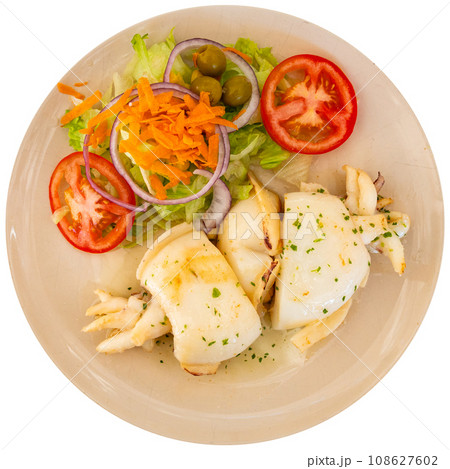 Baked sepia served with side dish of fresh vegetable salad Baked sepia served with side dish of fresh vegetable salad 108627602