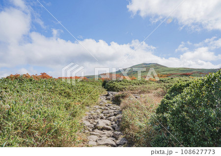 山形　秋の月山登山道 108627773