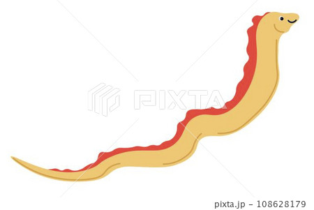 Anguilliformes or eel fish, character with smile 108628179
