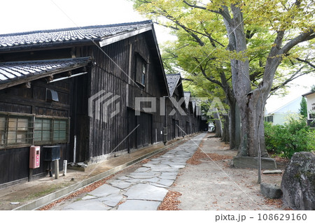 山形の酒田にある山居倉庫とケヤキ並木 108629160