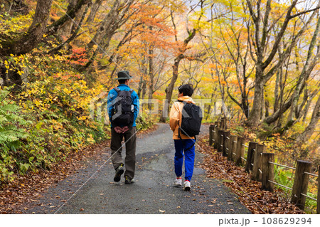 紅葉の森をハイキングする親子 108629294