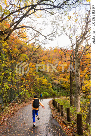 紅葉の森をハイキングする親子 108629297
