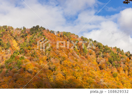 紅葉した美しい山 紅葉した美しい山 108629332