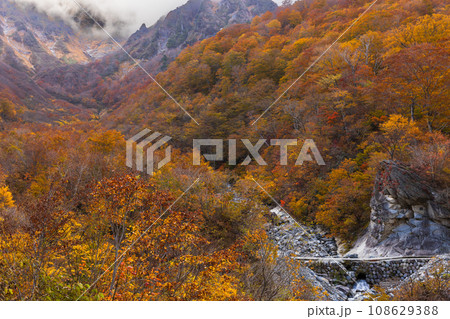 紅葉した美しい山 108629388