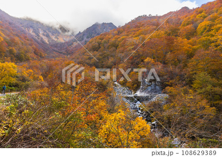 紅葉した美しい山 108629389