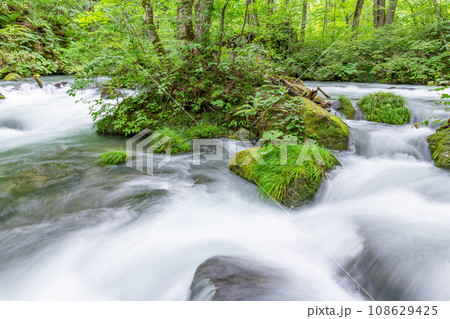 青森県十和田市 夏の奥入瀬渓流(渓流イメージ) 青森県十和田市 夏の奥入瀬渓流(渓流イメージ) 108629425