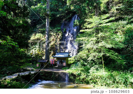 出羽三山神社の参道にある祓川と須賀の滝 108629603