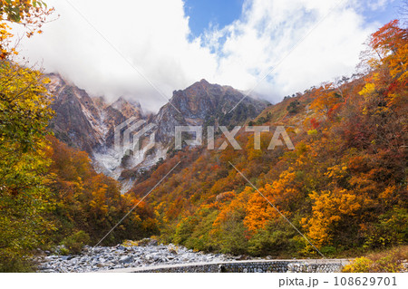 日本三大岩場の一ノ倉沢岳 108629701